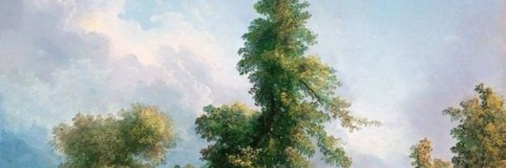 GrassoVale's profile banner image