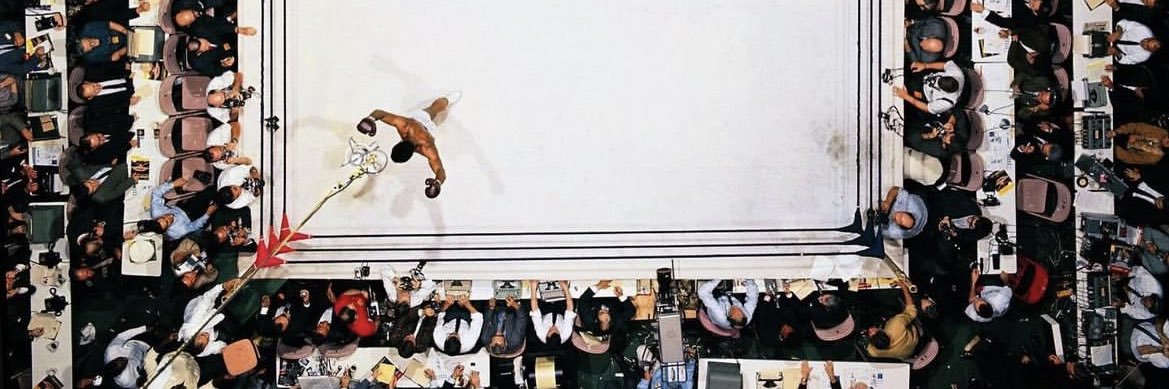 Lefteye banner