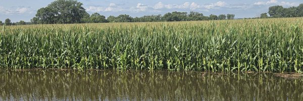 NelsDer Profile Banner