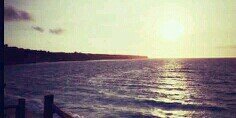 sellyanasell's profile banner image