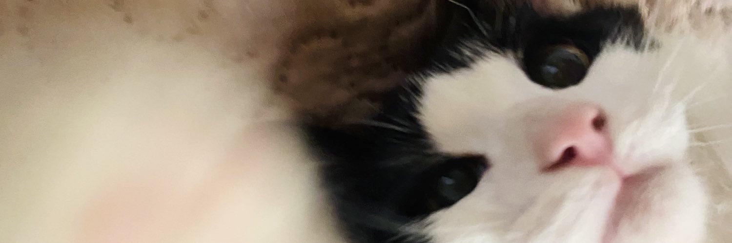 Jrossipiraces's profile banner image
