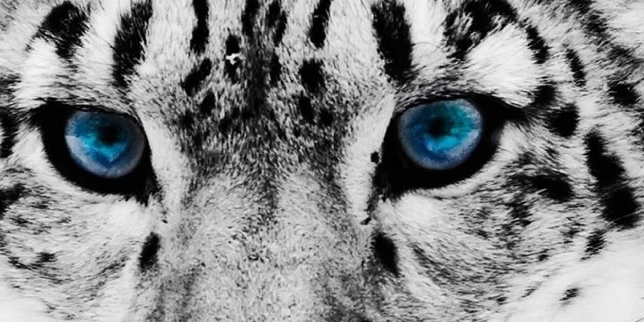 micki_13's profile banner image