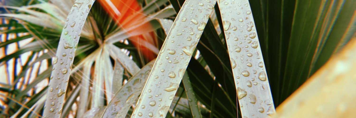 eac0711's profile banner image