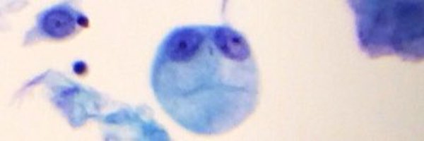 rezaesh58 Profile Banner