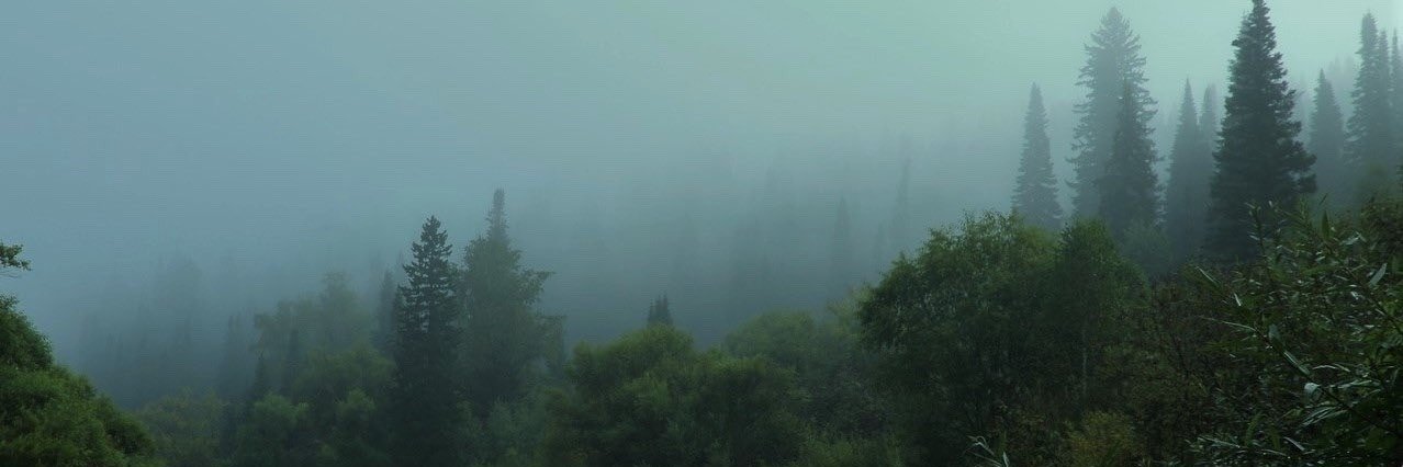 oatghosts's profile banner image