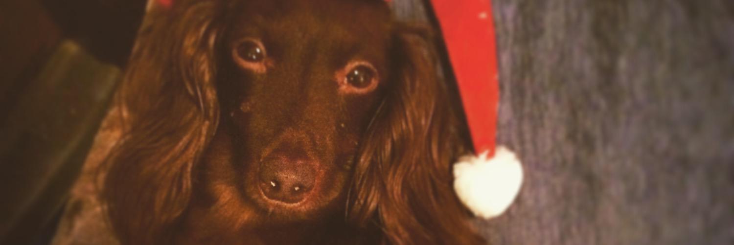 andiiblaque's profile banner image