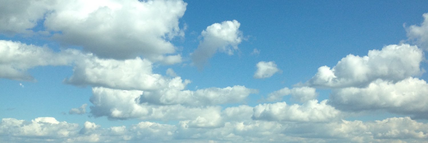 leah_carless's profile banner image