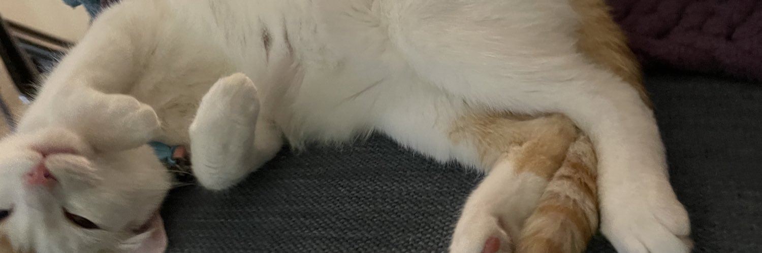 ukanzax's profile banner image