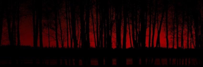 Lilythisme's profile banner image