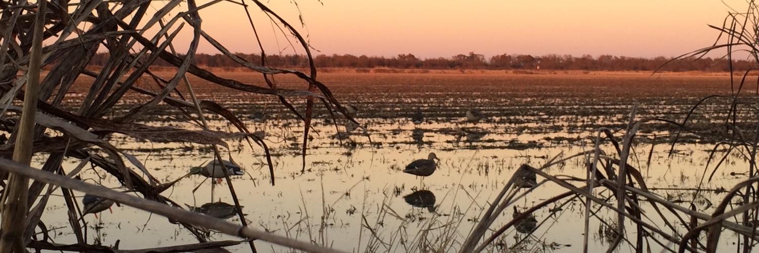 BJButler12's profile banner image