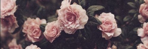 _dngmble's profile banner image