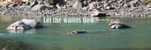 ShahJiJr Profile Banner