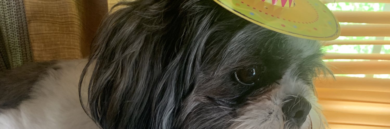 Dana Michelle banner