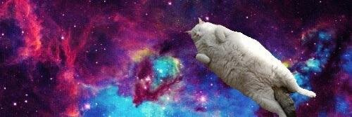 oriellamansur's profile banner image