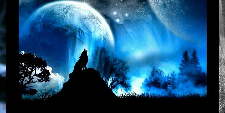Craze_WoLf banner