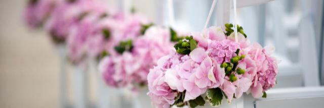 AisleHelpDorset's profile banner image