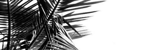 romnalinn's profile banner image
