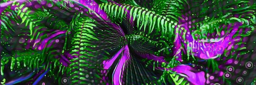 Exfera banner