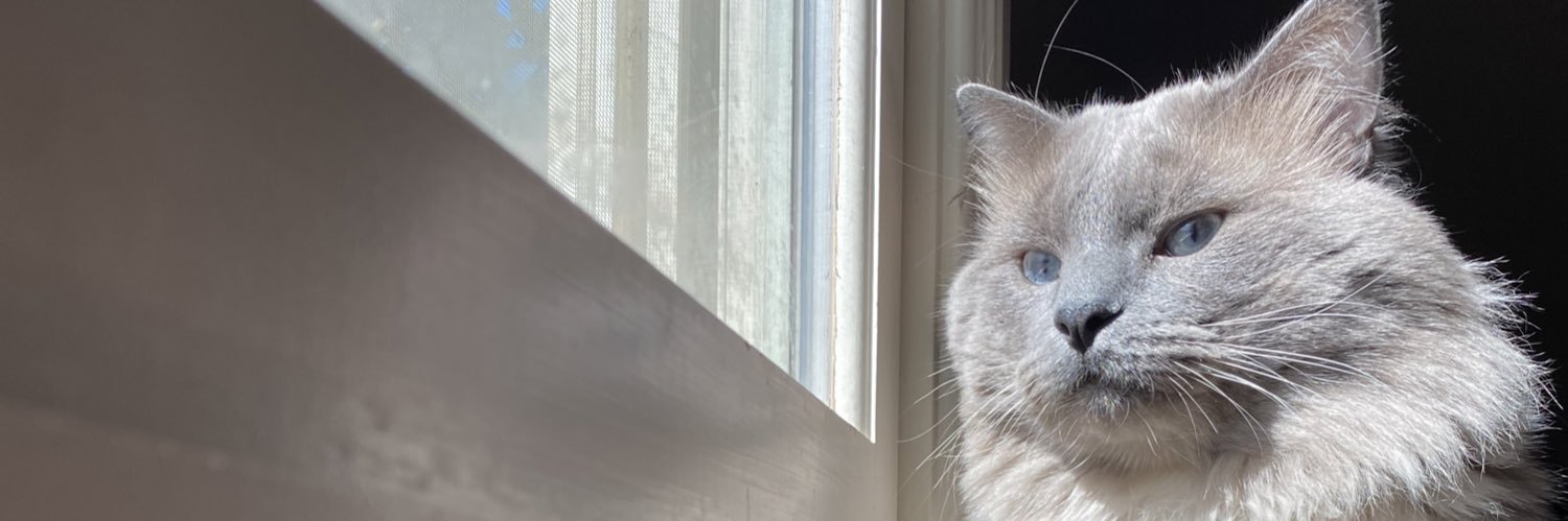 evyhorrell's profile banner image