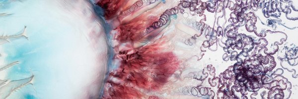 abertozz Profile Banner