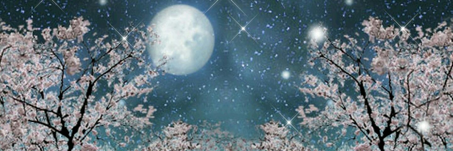 kazuto_Kyo's profile banner image