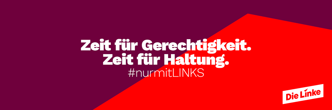 Die Linke SH ❤️ banner
