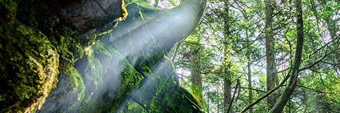 SippoTea's profile banner image