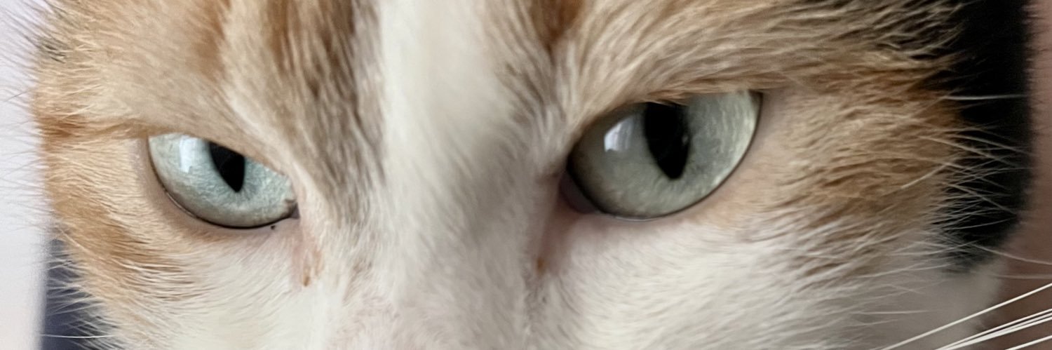 Ludoovico's profile banner image