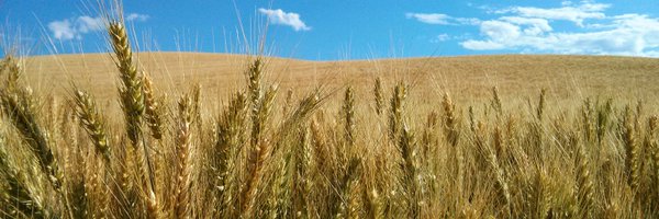 genepedia Profile Banner