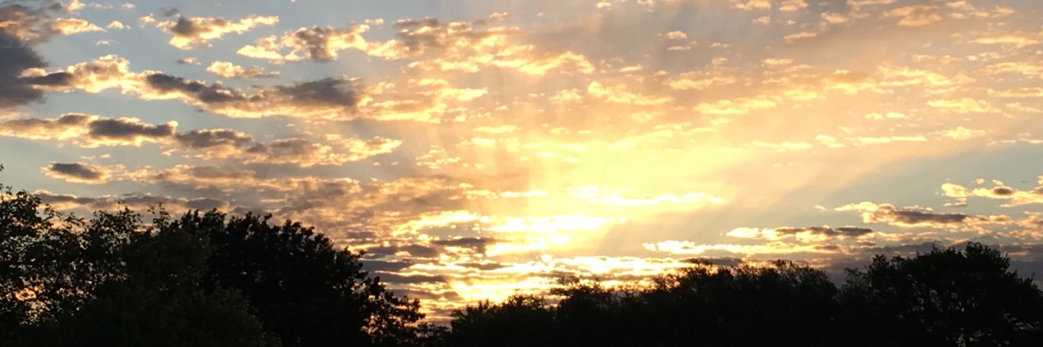 imafolloweronly's profile banner image