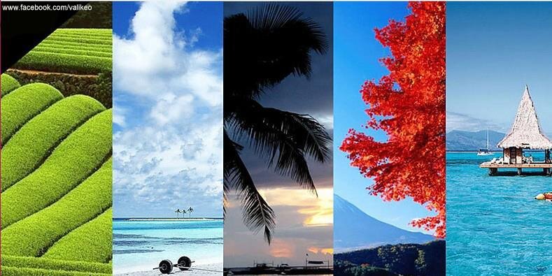 陶海燕 banner