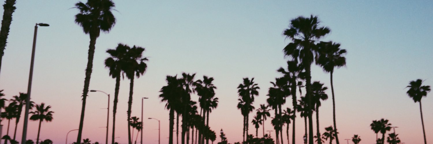 aestheticamila_'s profile banner image