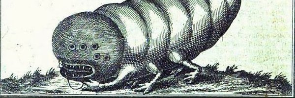 davidgross_man Profile Banner