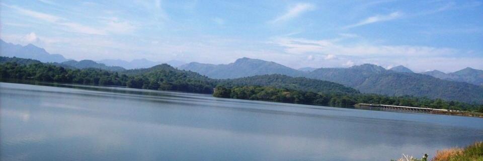 Sunimalee Madurawala banner