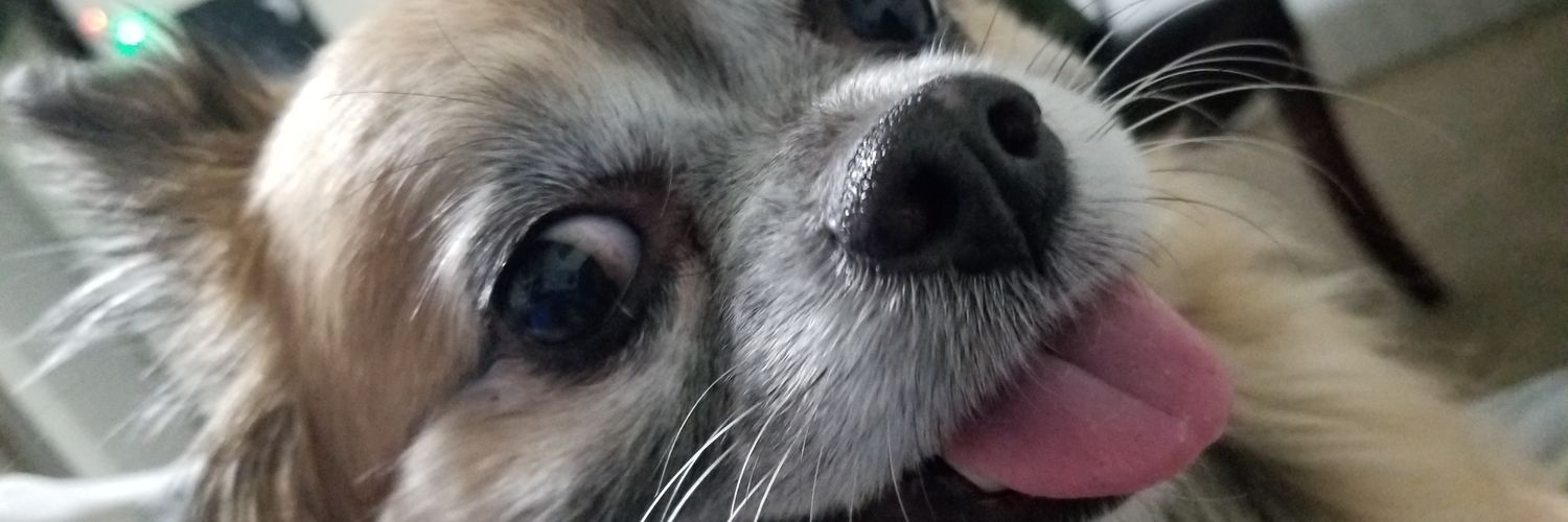 Thecolorsara's profile banner image