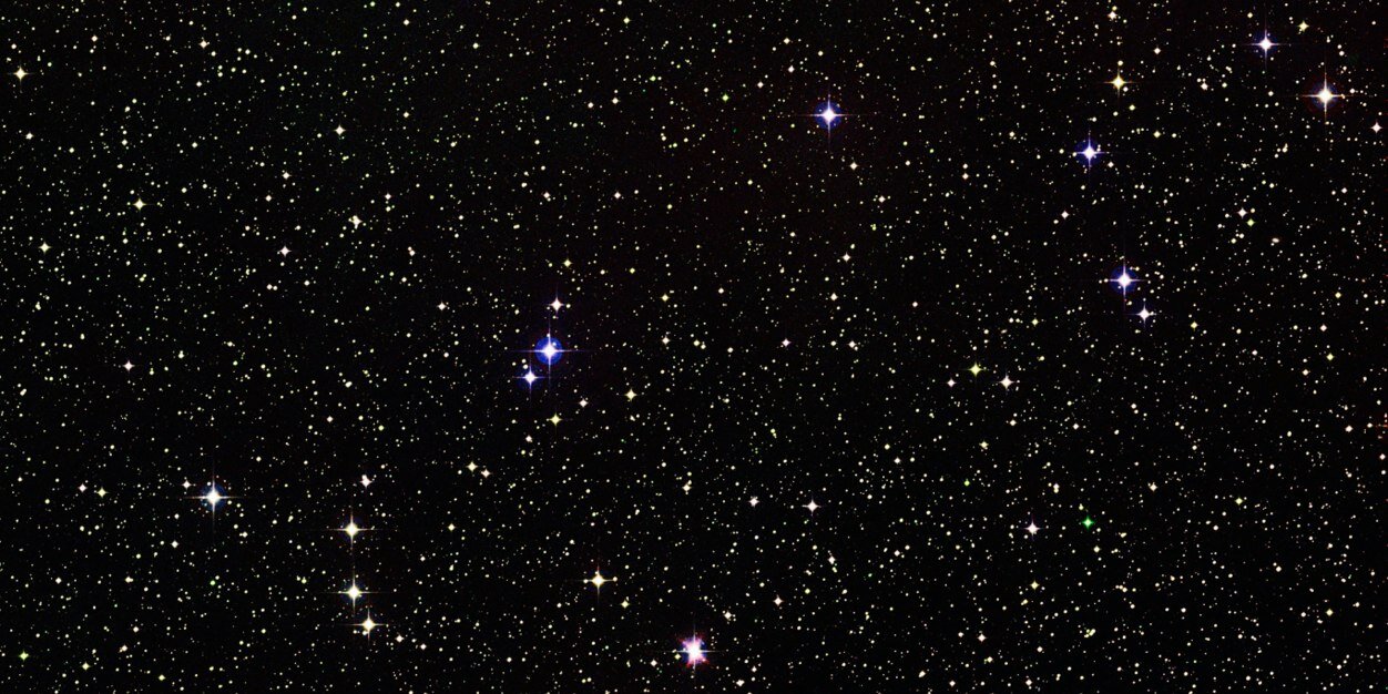 Jonathan Leiman banner