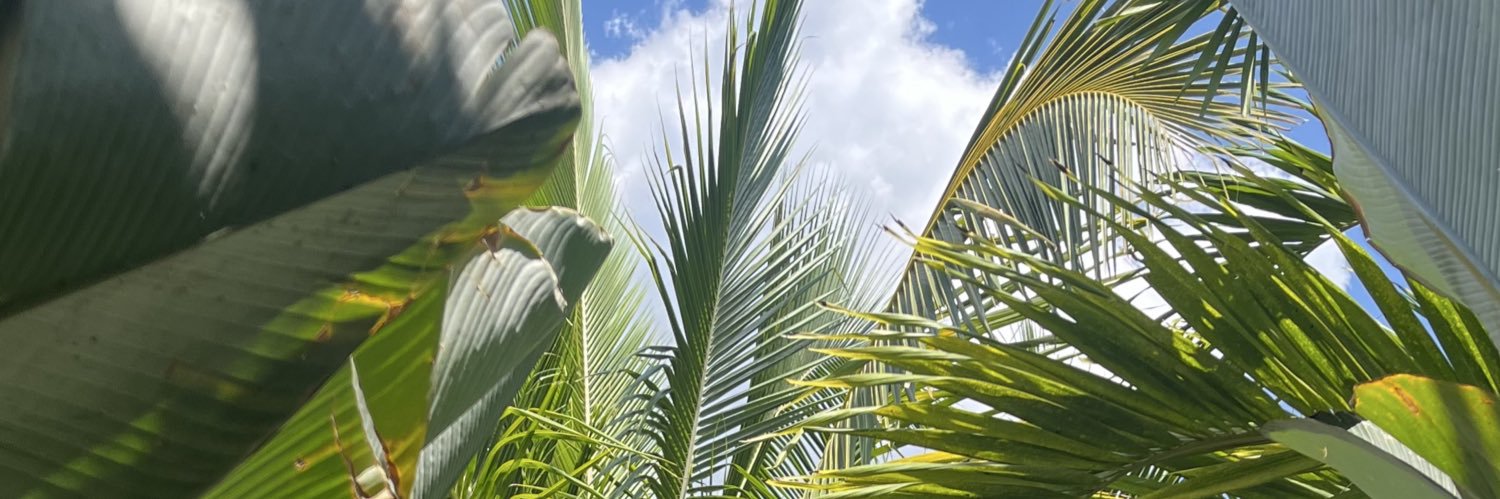 elintoit's profile banner image