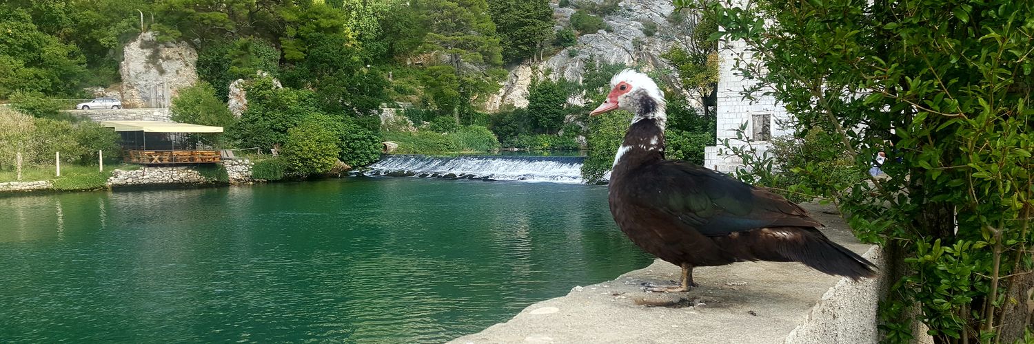 Tunde Olarinoye banner