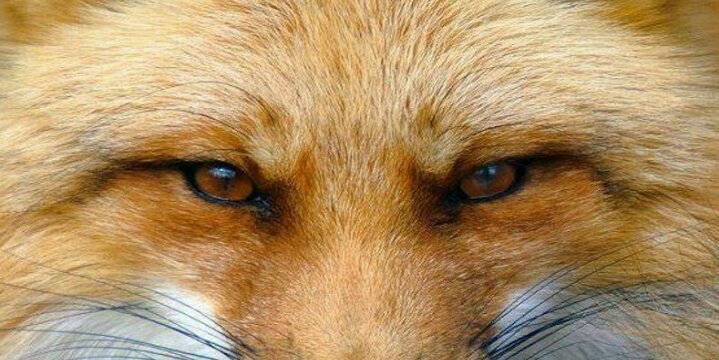 duncanfox42's profile banner image