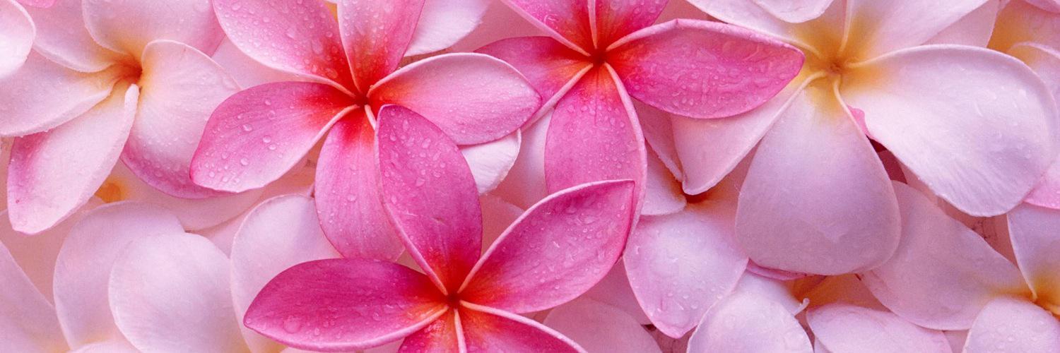 Amymiller416's profile banner image