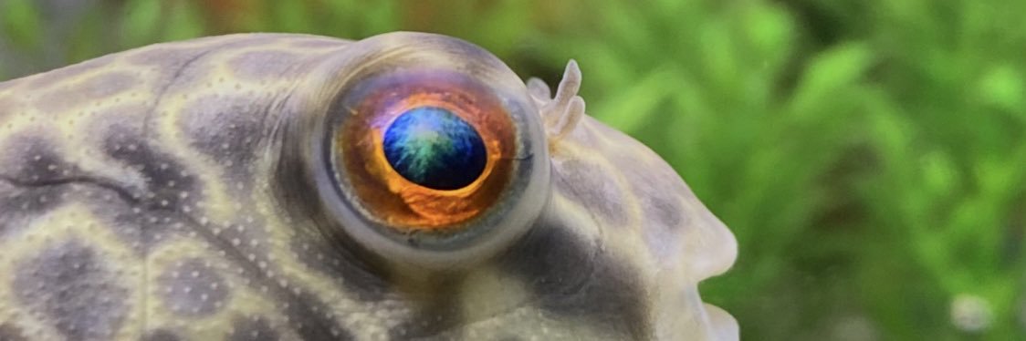 RabbiJoeFred's profile banner image