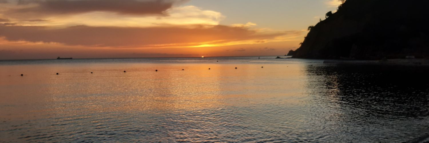 Lillllov's profile banner image