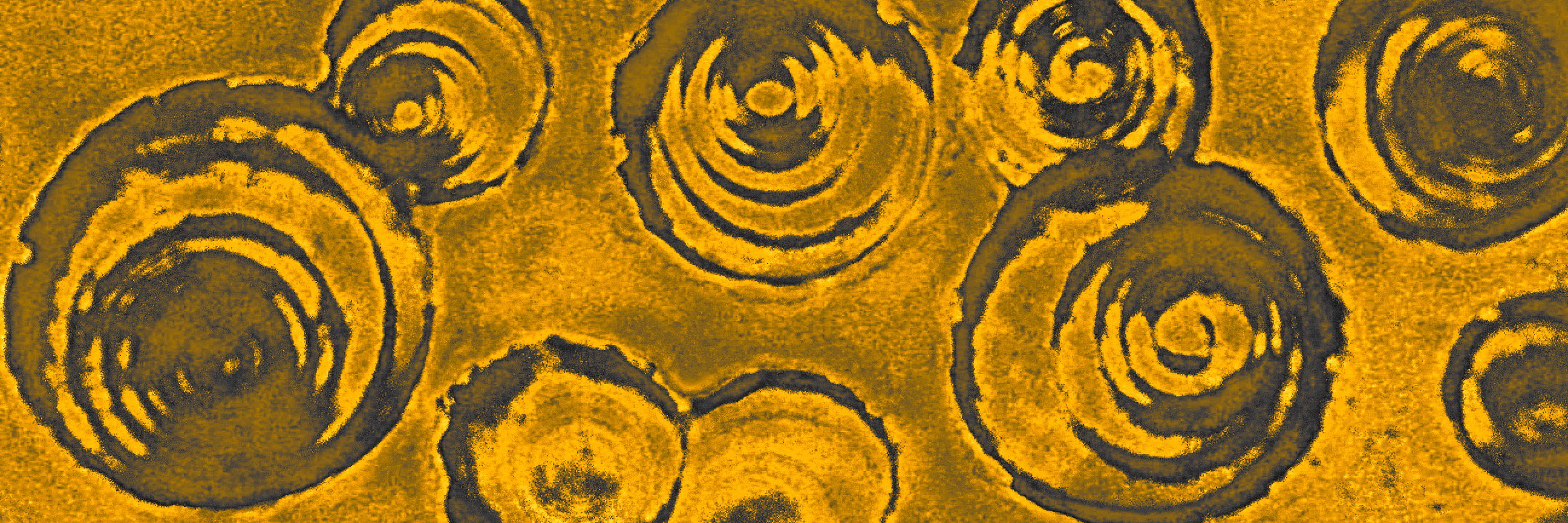 stephensscience's profile banner image