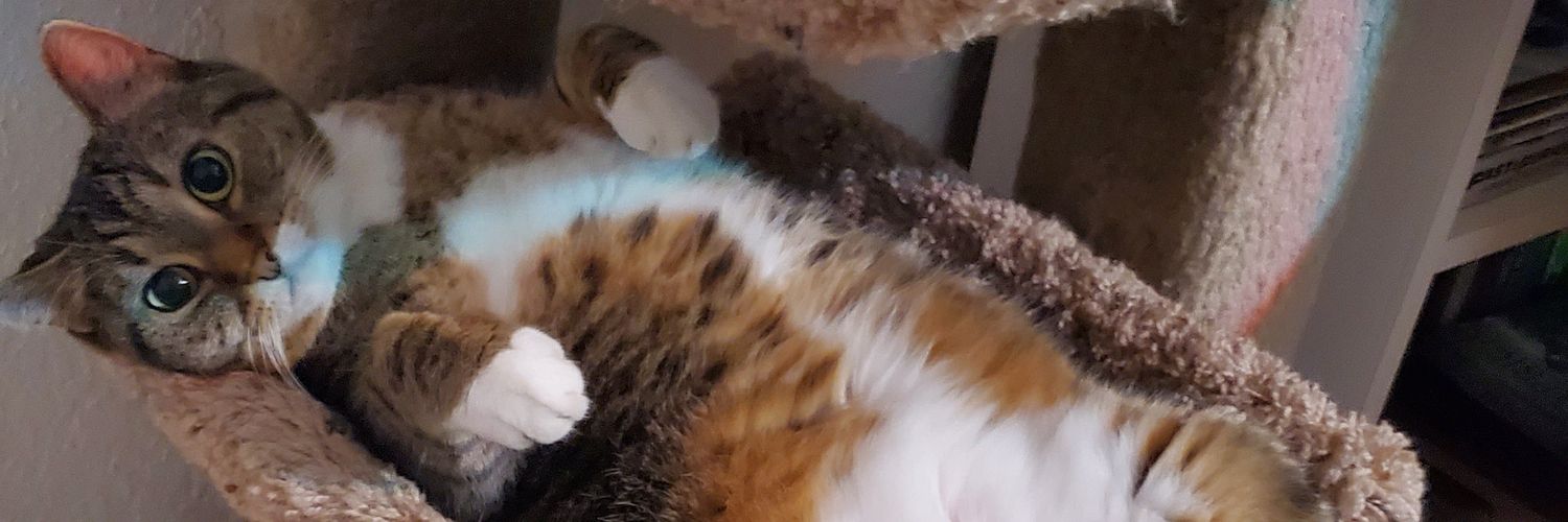 JamesBath's profile banner image