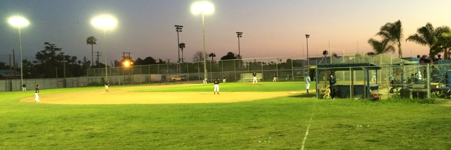 Venice Baseball banner