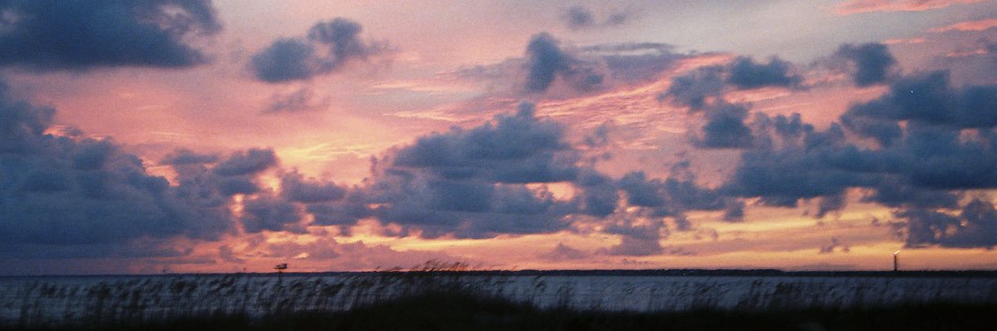 Jolynn Dellinger banner