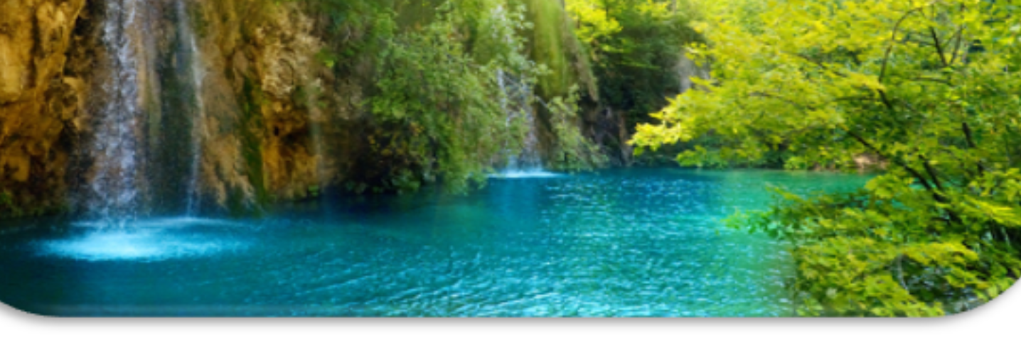 INGreeners's profile banner image