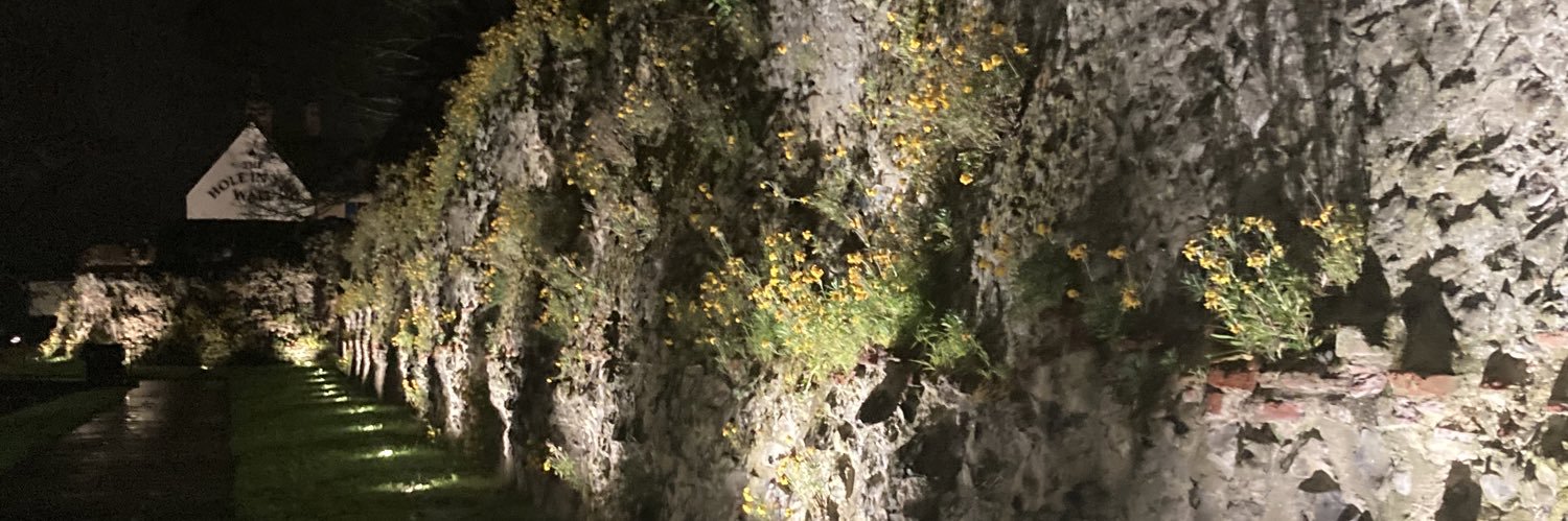 Ailsa Clarke 🇪🇺 banner