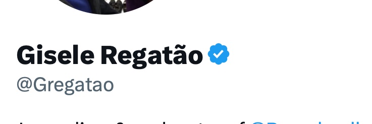 Gisele Regatão banner