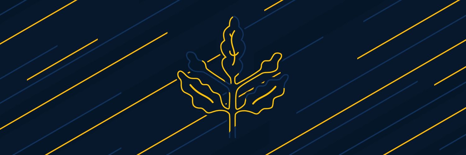 Eminn banner